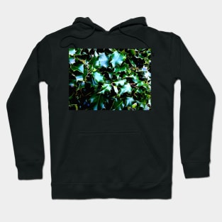 Holly Hoodie